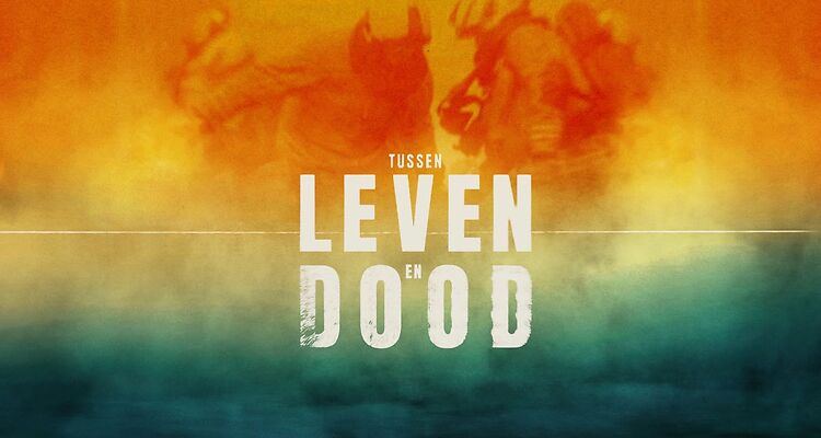 Tussen Leven en Dood