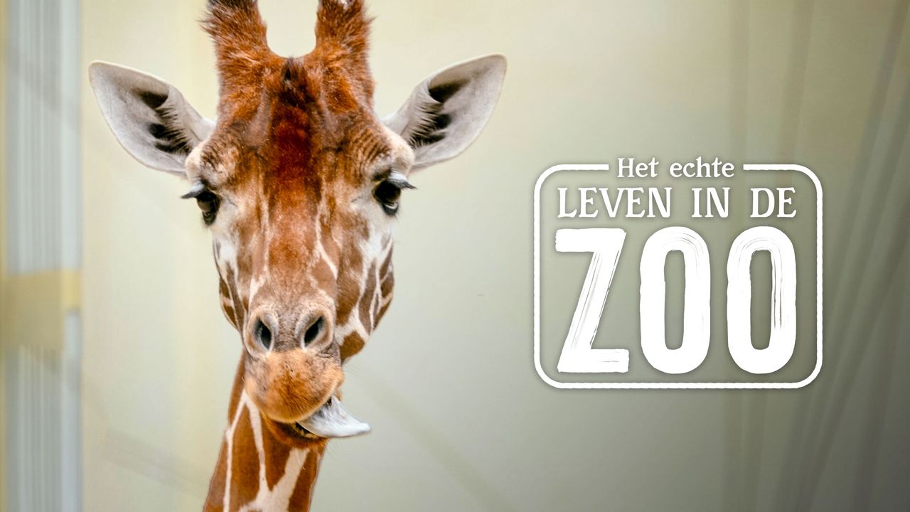 Het Echte Leven in de ZOO